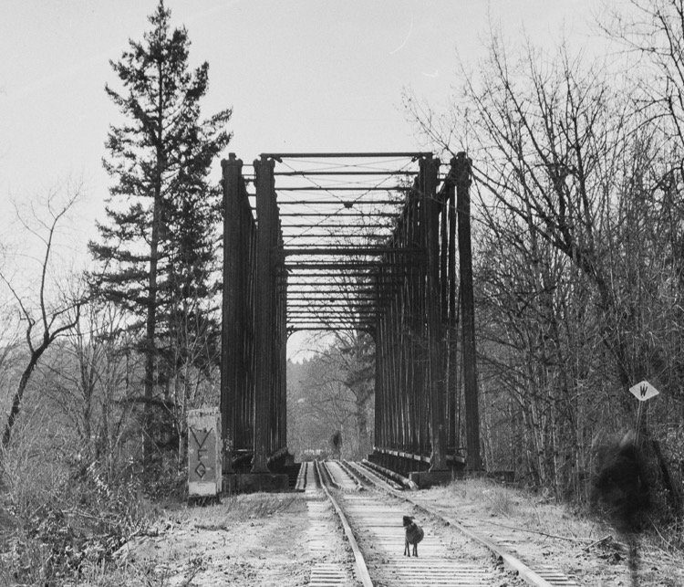 Furtive Figures, Chemainus Crossing