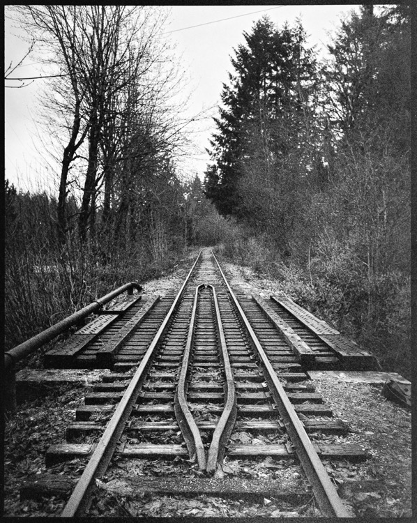 The tiny crossing at Cowichan Station