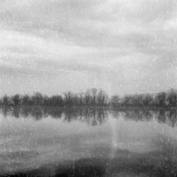 Somenos Marsh, Flooded