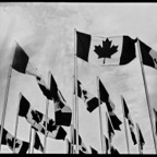 Expired-01-June-3.jpg