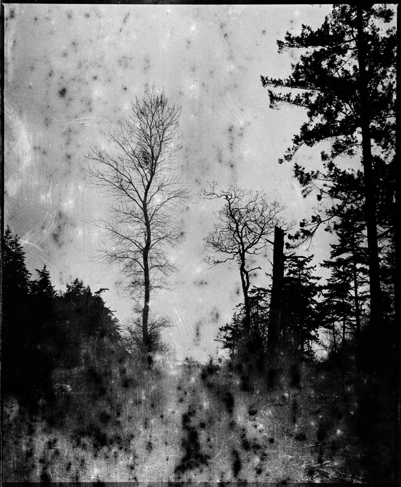 Silhouetted, Neck Point Park, Nanaimo, BC
