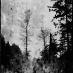 EXPIRED-6-5.jpg