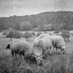 EXPIRED-6.jpg