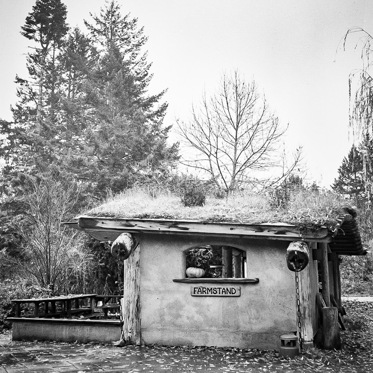 Farm Stand, Living Roof