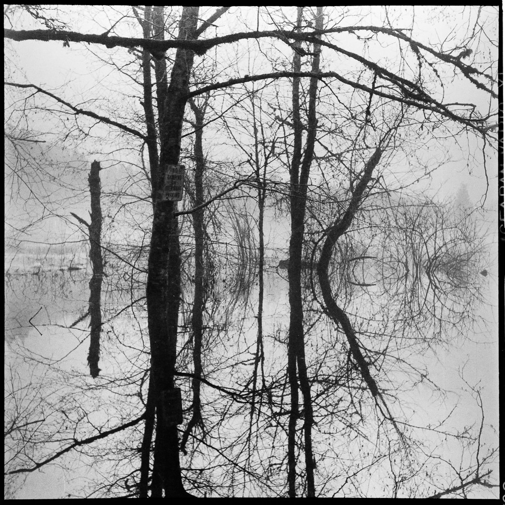 Natural Geometry, Blackburn Lake