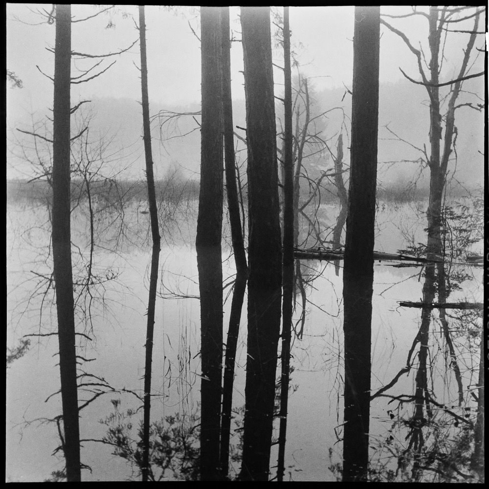 Submerged, Blackburn Lake