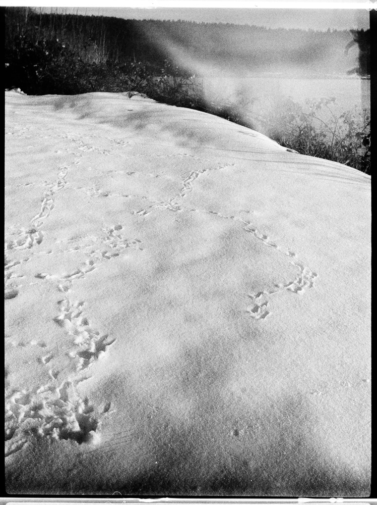 Wanderings in the Snow, Transfer Beach