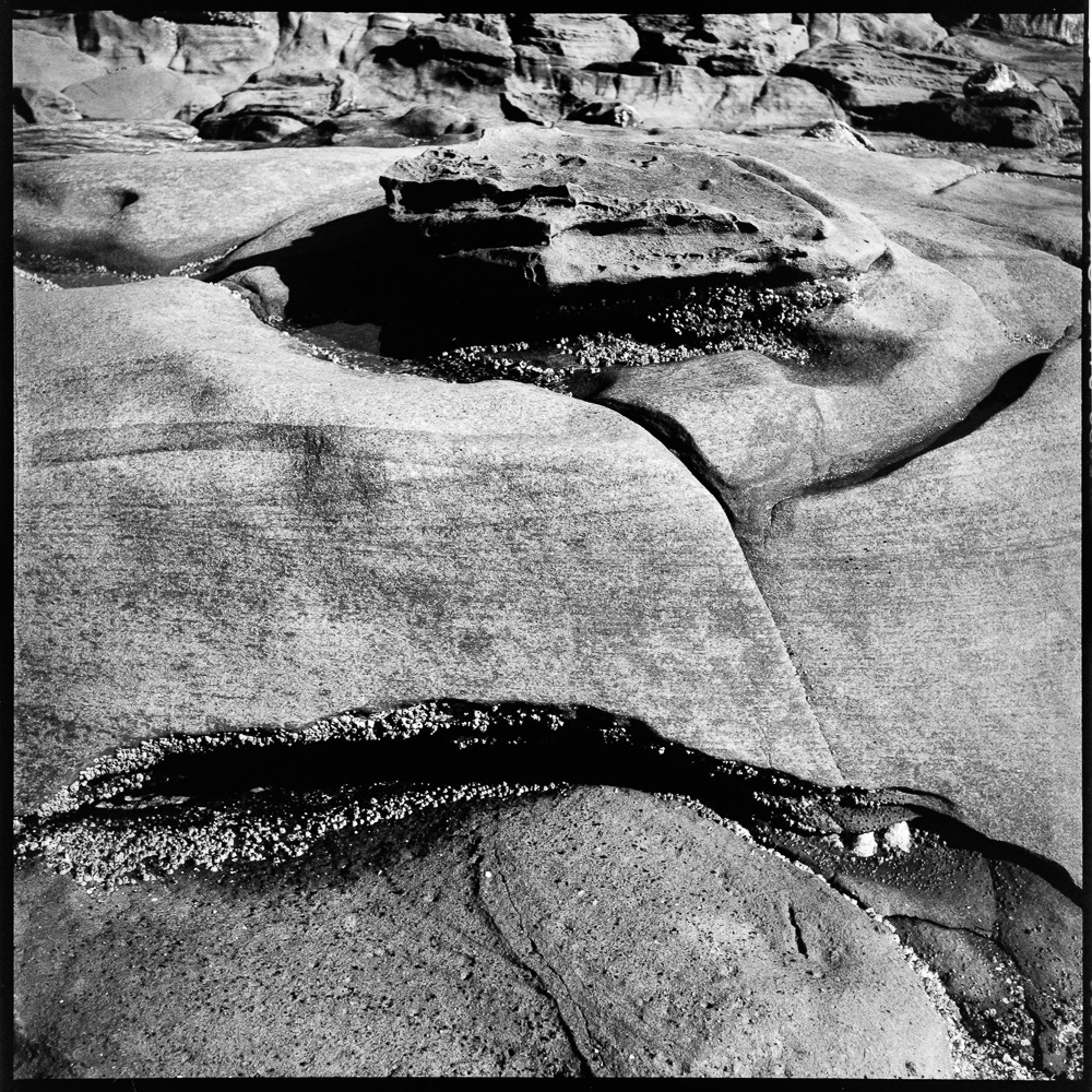 Folded Rocks, Yellow Point