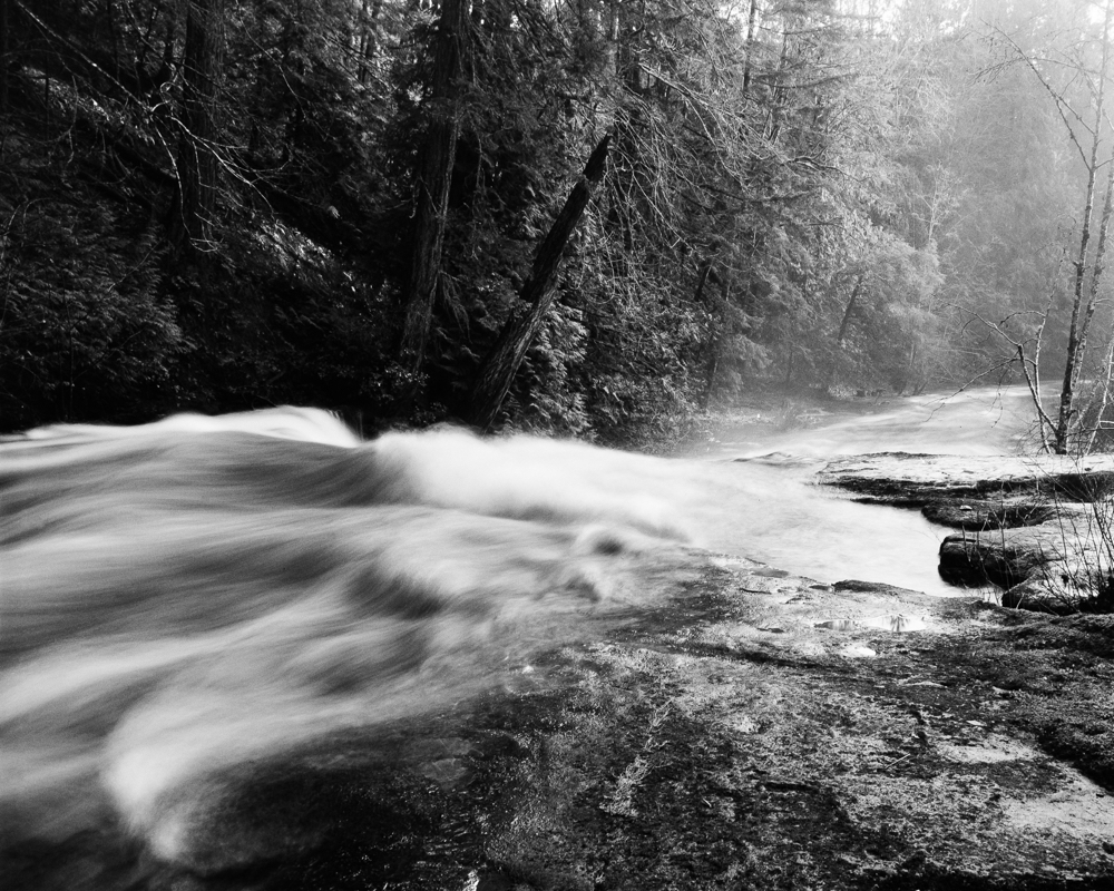 NATURES WAY-4-4.jpg