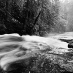 NATURES WAY-4-4.jpg