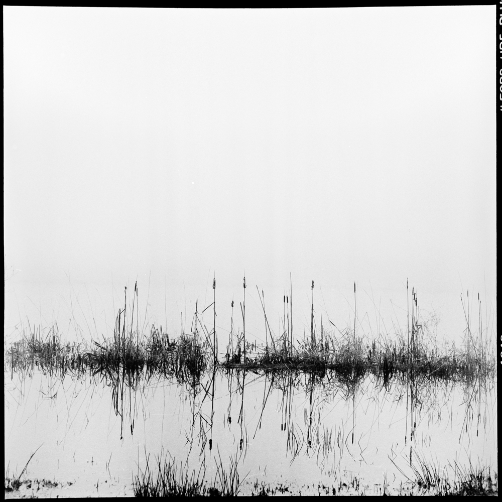 NATURES WAY-4-6.jpg