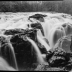 NATURES WAY-4-7.jpg