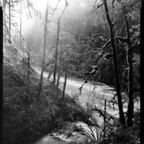 NATURES WAY-5-4.jpg