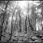 NATURES WAY-5-6.jpg