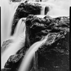 NATURES WAY-5-7.jpg