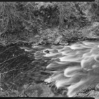 NATURES WAY-6-6.jpg