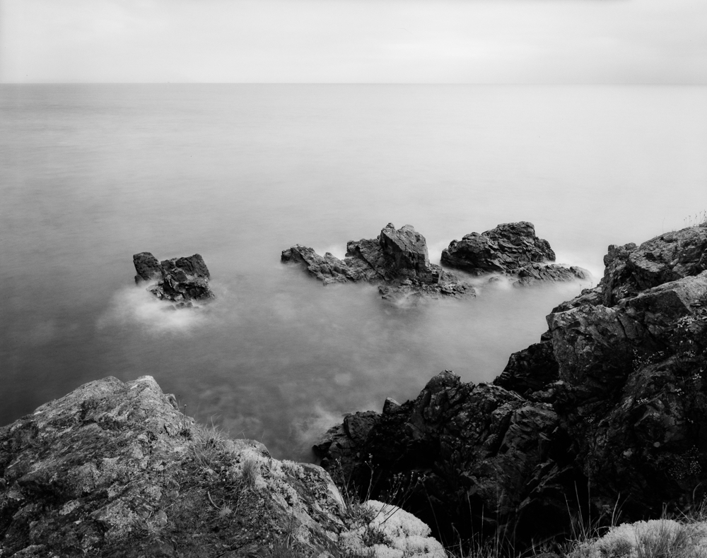 NATURES WAY-6.jpg