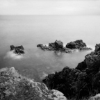 NATURES WAY-6.jpg