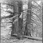NATURES WAY-7-2.jpg