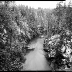 NATURES WAY-7.jpg