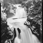 NATURES WAY-8-4.jpg