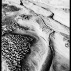 NATURES WAY-10.jpg