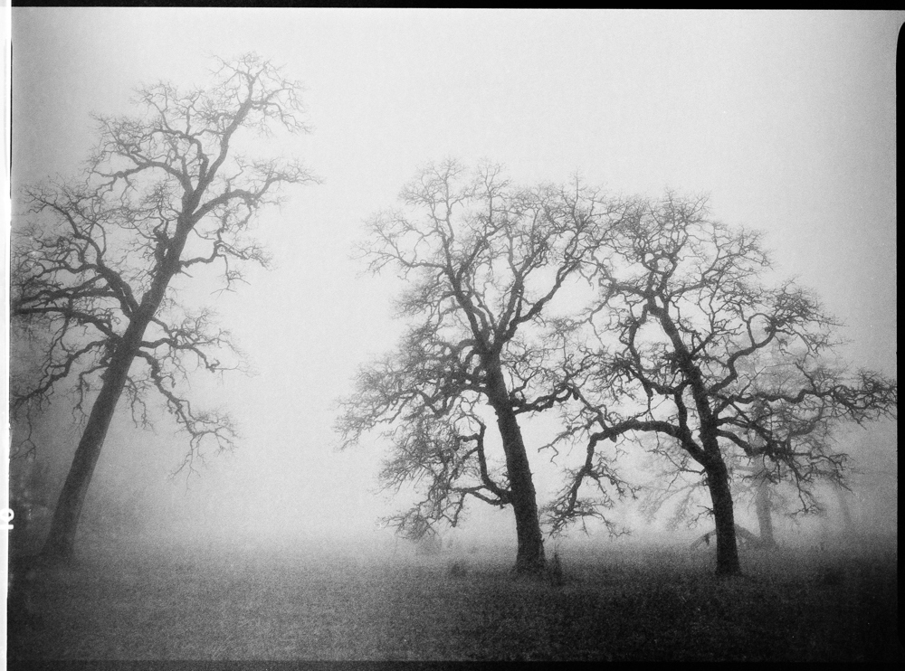 ARBOR-6-3.jpg