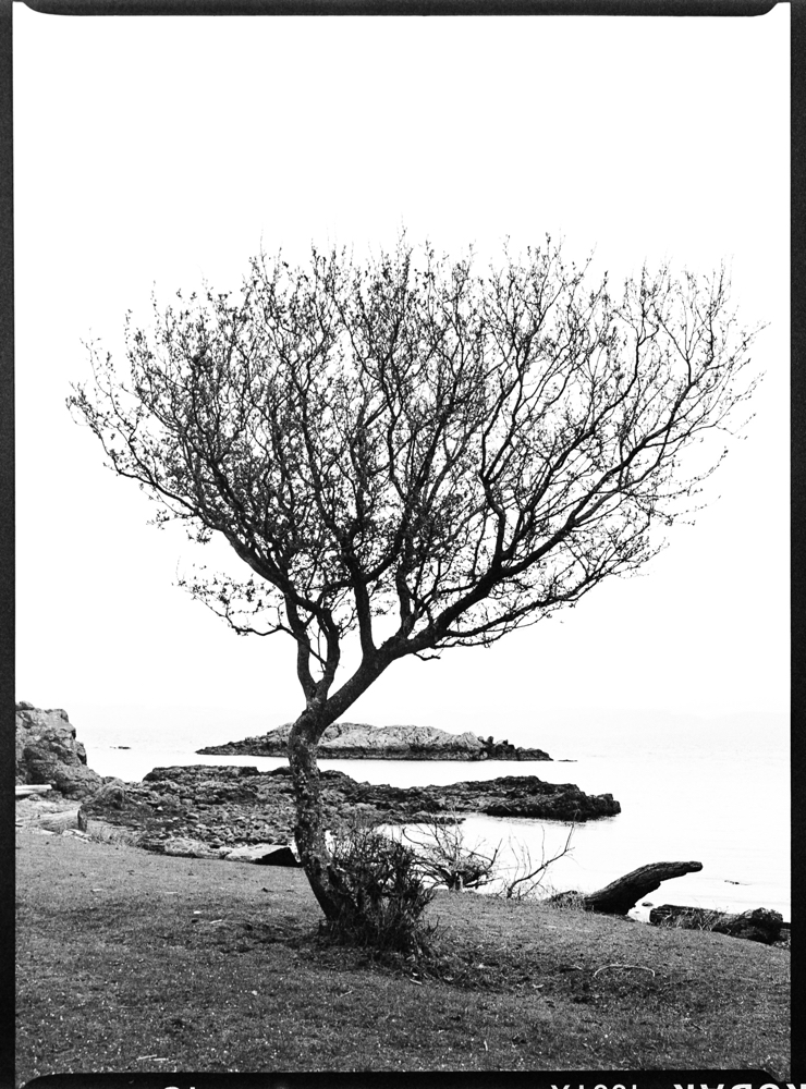 ARBOR-7-3.jpg