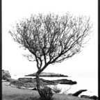 ARBOR-7-3.jpg