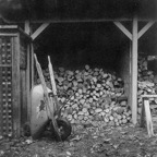 ISOLT-01-June-1.jpg