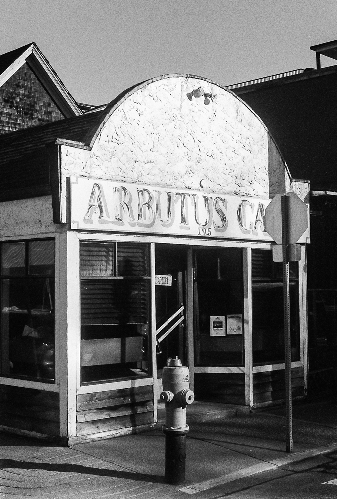 The Arbutus Cafe in Duncan continues to serve up classic diner specials in a suitable space: swivel stools and booths are still used!