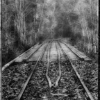 RAIL DREAMS-1.jpg