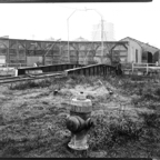 RAIL DREAMS-5.jpg