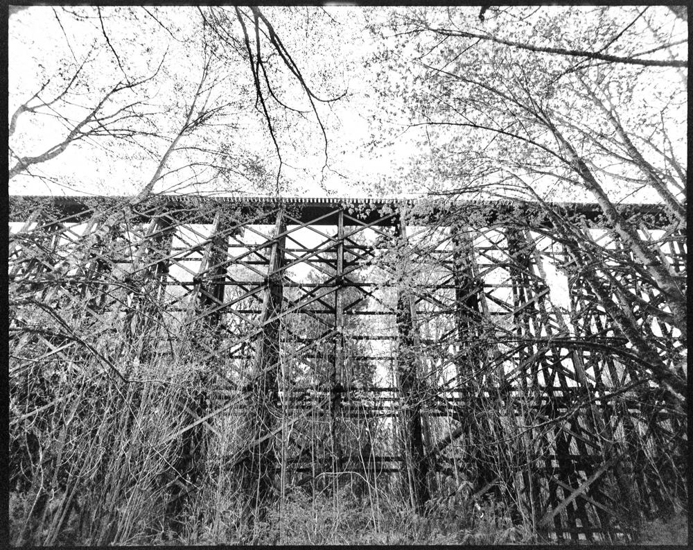 RAILS-1-2.jpg