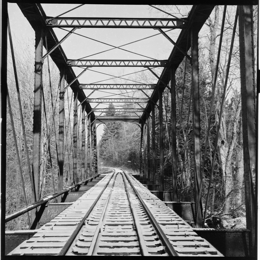 RAILS-1.jpg
