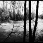 STORIES-6.jpg