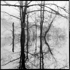 NATURES WAY-3-6.jpg