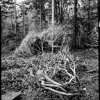 NATURES WAY-4-2.jpg