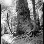 ARBOR-25-July-1.jpg