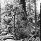 ARBOR-25-July-3-2.jpg