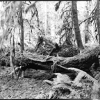 ARBOR-25-July-3.jpg