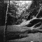 ARBOR-25-July-5.jpg