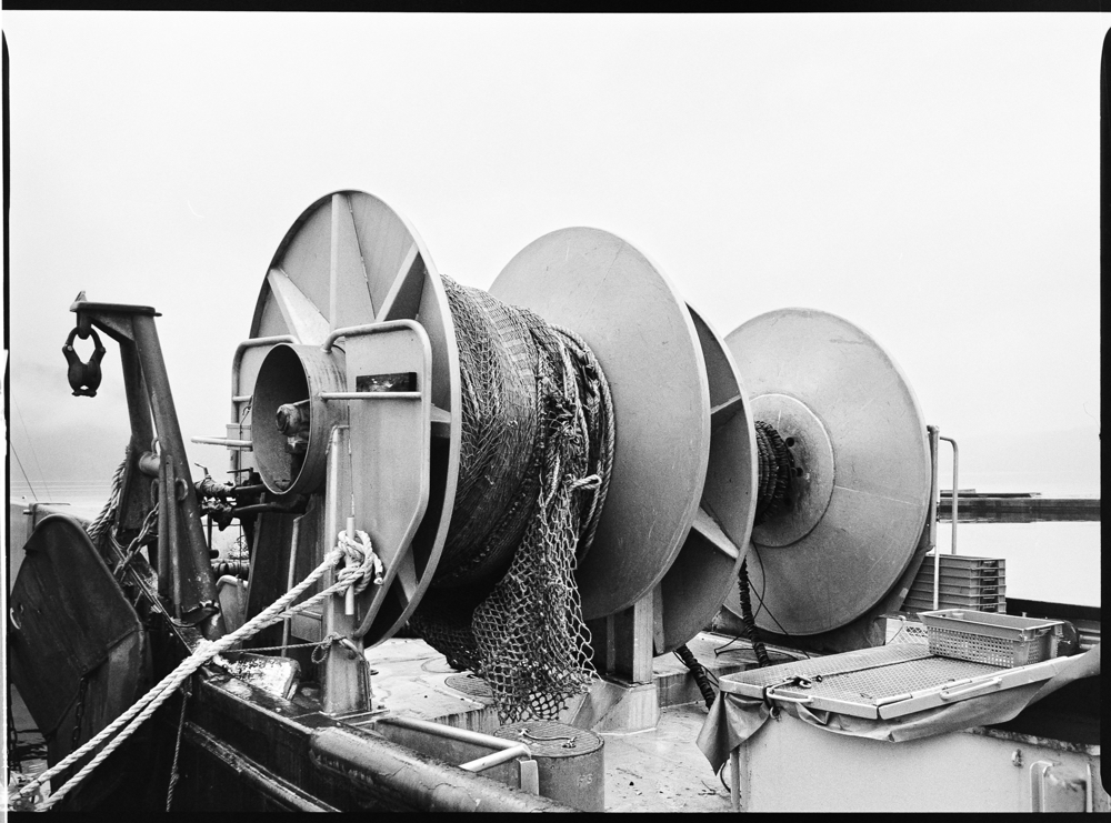 Giant Spools, Cowichan Bay