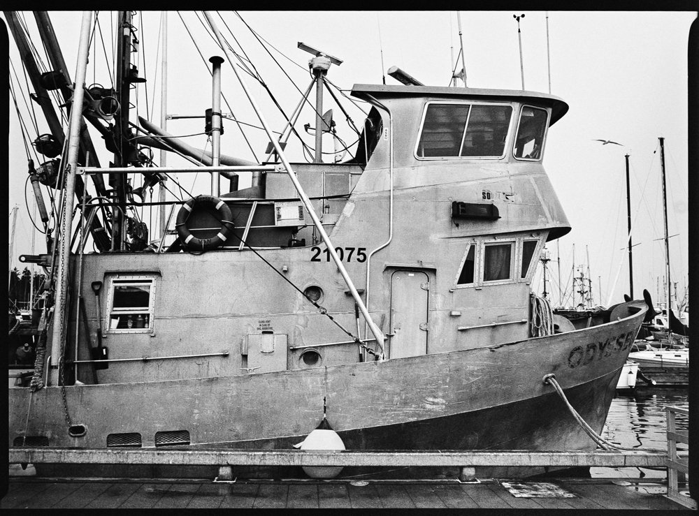 Skein Boat