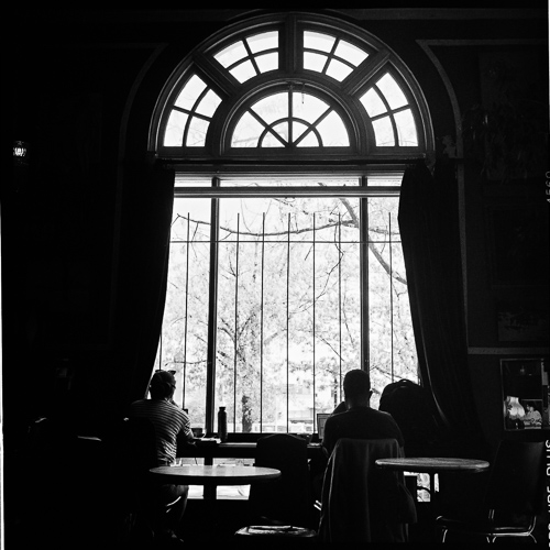 CAFE thumb-1