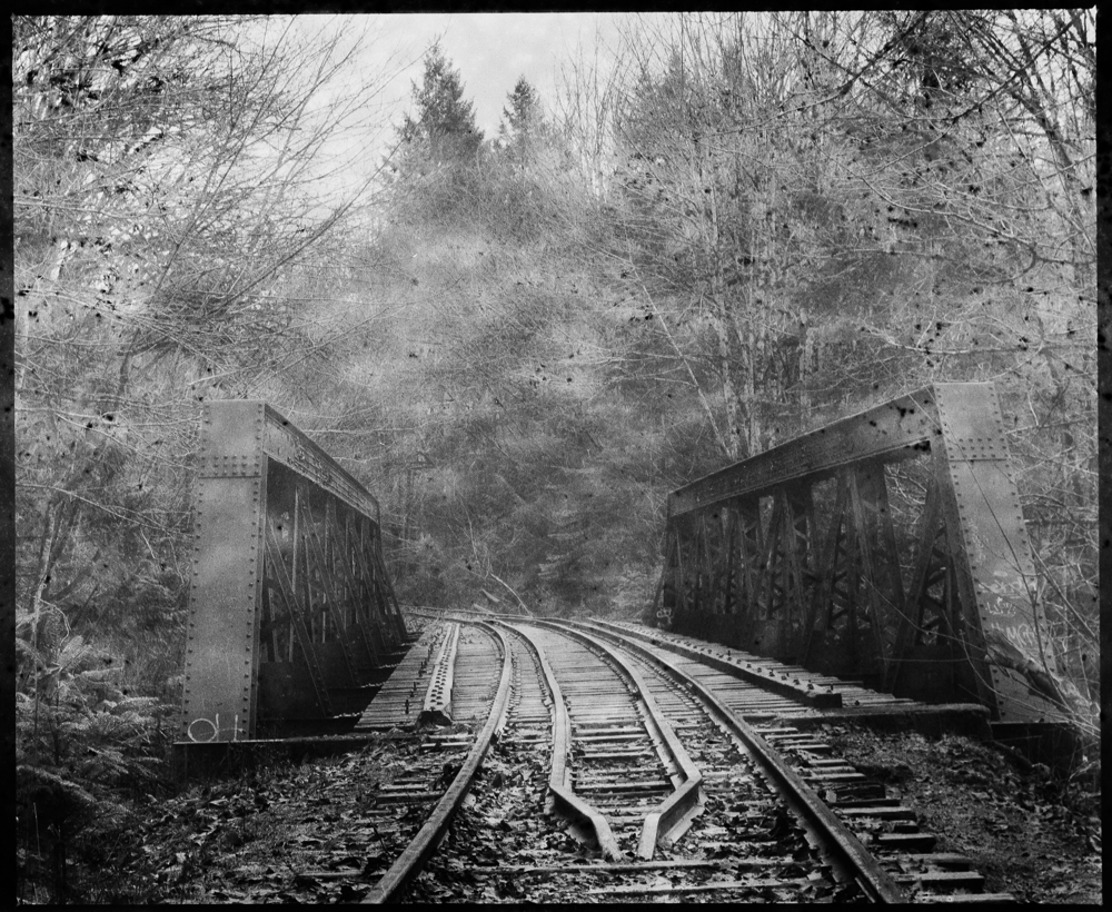 Bridge at Bush Creek, Oyster Bay