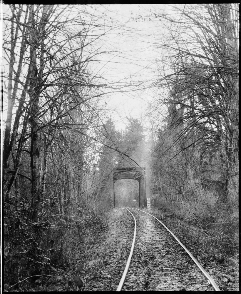 Crossing the Chemainus River