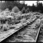 RAILS-3-4.jpg