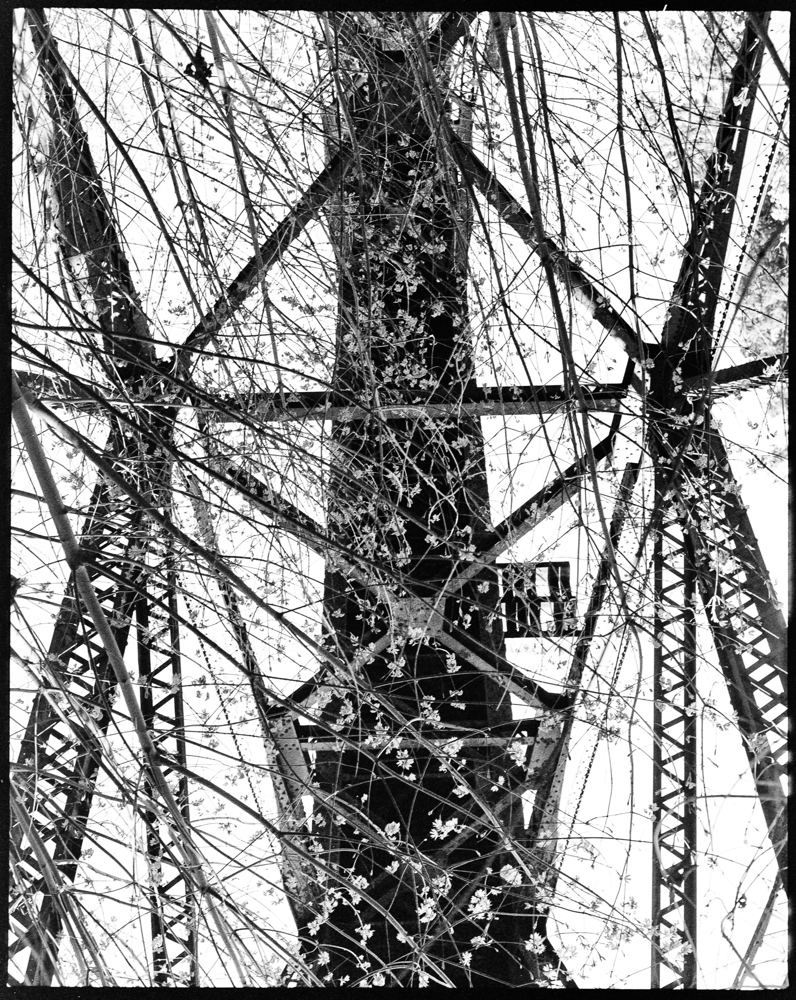 French Creek Trestle in the Spring
